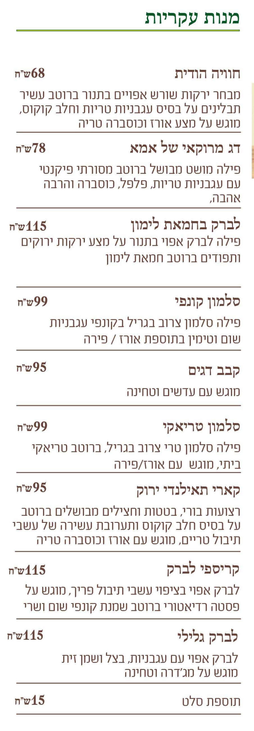 תפריט פסח 3